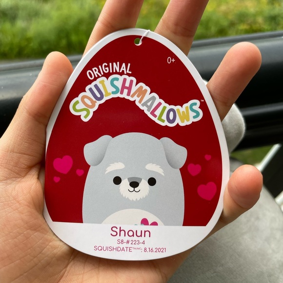 Shaun The Schnauzer- *limited edition* Squishmallow 8” - Picture 3 of 4